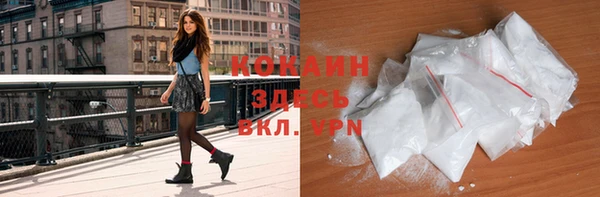 стаф Балахна