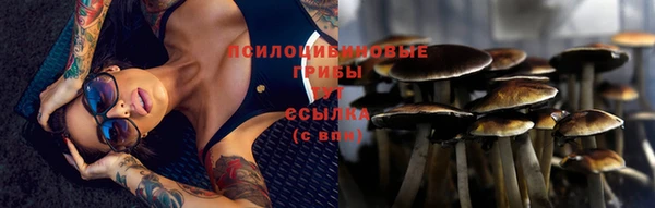 2c-b Баксан
