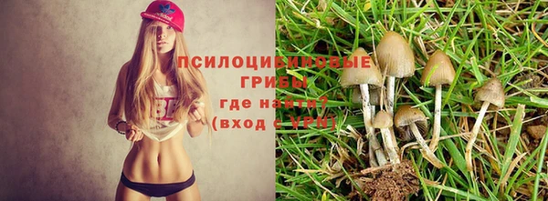шишки Балабаново