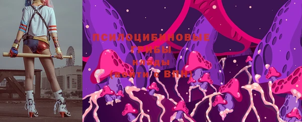 шишки Балабаново