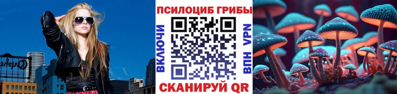 Галлюциногенные грибы GOLDEN TEACHER  Купить закладки  Абинск 